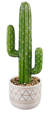 Faux cactus plant